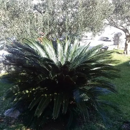 Gostinjska kuća Private Carevic Dubrovnik