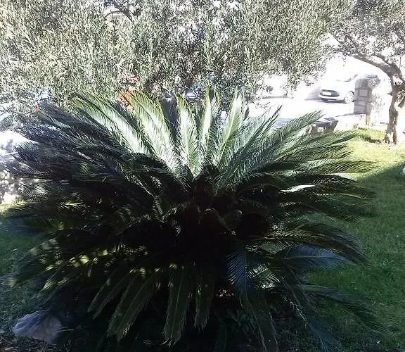 Guest house Private Carevic Dubrovnik